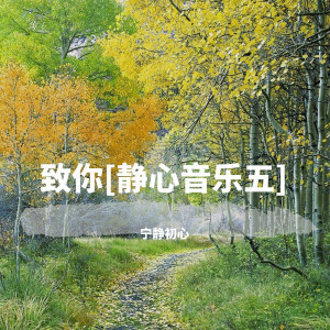 收聽寧靜初心的我犯過最大的錯 (清心寡慾)歌詞歌曲