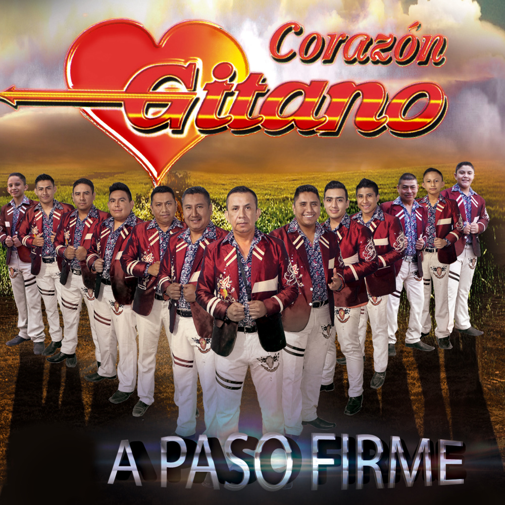 No Te Equivocaste