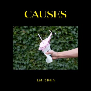 Causes的專輯Let it Rain