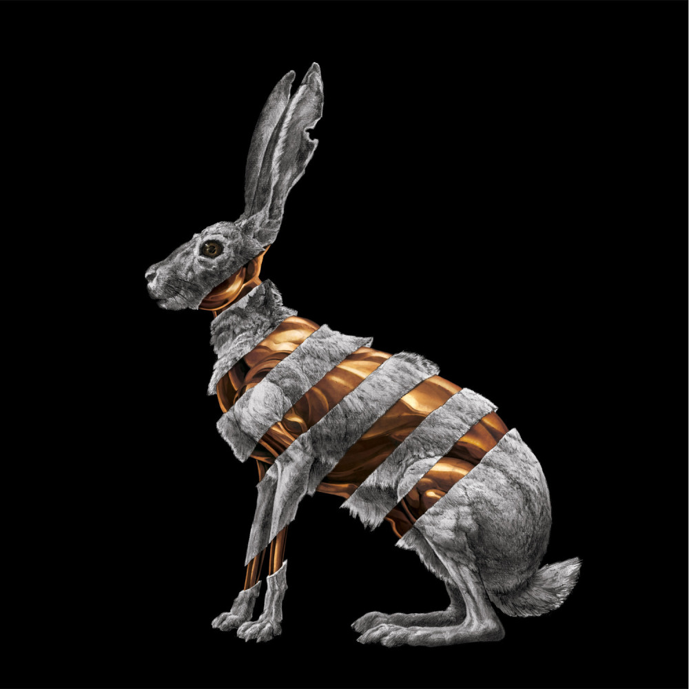 Billy Bibbit