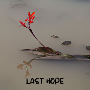 收聽Indra Wave的Last Hope歌詞歌曲