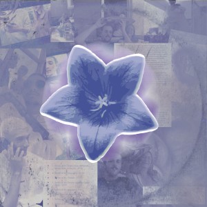 Album Buruberu from Se7en of 34