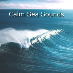 收听Ocean Sounds的Calm Sea Sounds歌词歌曲