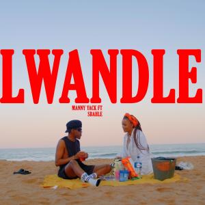 Manny Yack的專輯LWANDLE (feat. SBAHLE)