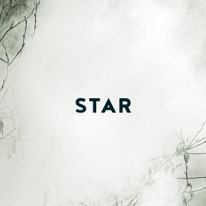Listen to Star (Radio Edit) song with lyrics from Richard Andersson