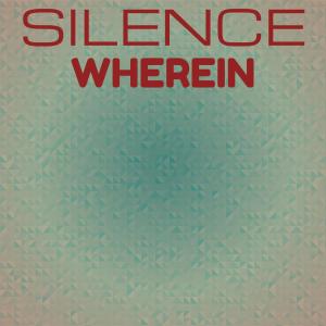 Various Artists的專輯Silence Wherein