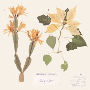 ดาวน์โหลดและฟังเพลง Christmas Cactus พร้อมเนื้อเพลงจาก Juliana Hatfield