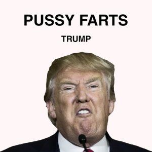 ดาวน์โหลดและฟังเพลง Sad, So Sad พร้อมเนื้อเพลงจาก Pussy Farts