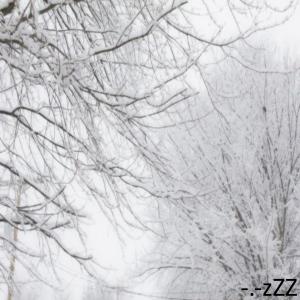 收聽Psych的i could never (Explicit)歌詞歌曲