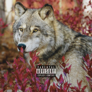 Listen to Caça do Lobo (Explicit) song with lyrics from DAB24K