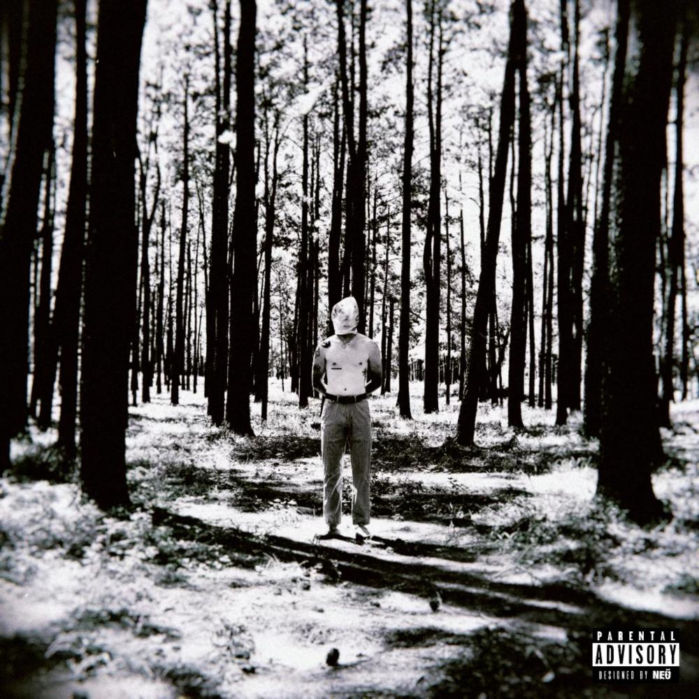 Southsideswangin' (Explicit)