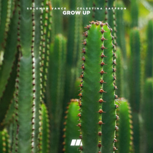 Listen to Grow Up song with lyrics from Solomon Vance