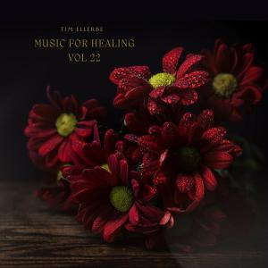 Tim Ellerbe的專輯Music for Healing, Vol. 22