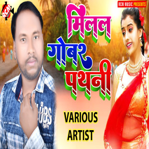 Album Milal Gobar Pathni from Various Artists