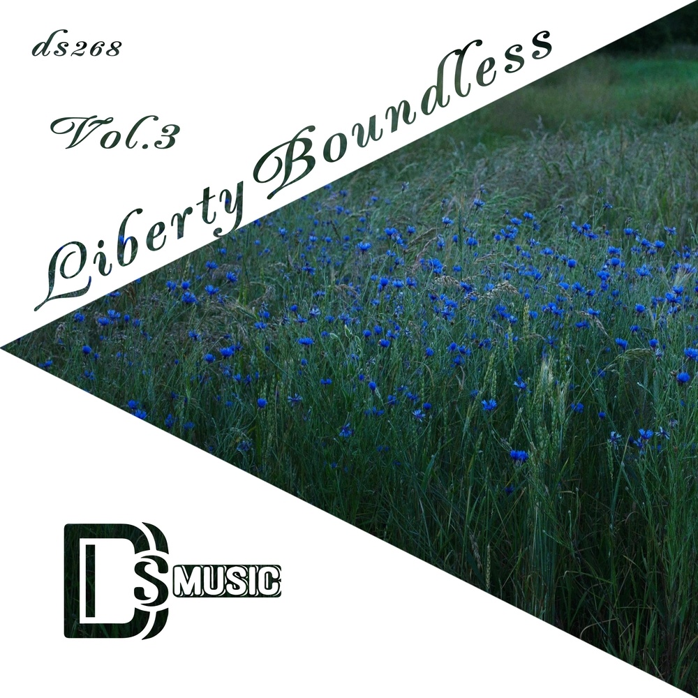 Get the Guns (Original Mix)