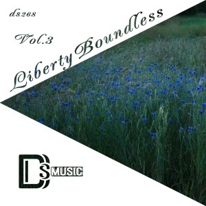 อัลบัม Liberty Boundless, Vol. 3 ศิลปิน Various Artists