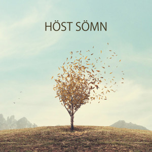 Listen to Lugn natt song with lyrics from Avslappning Musik Akademi