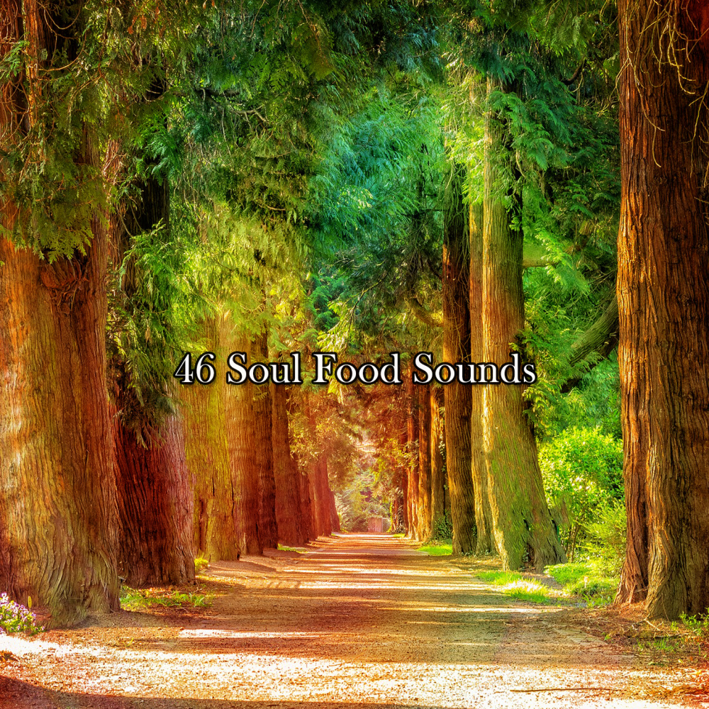 Spiritual Succession