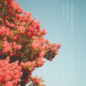 Album Are You Dreaming from Sumbuck