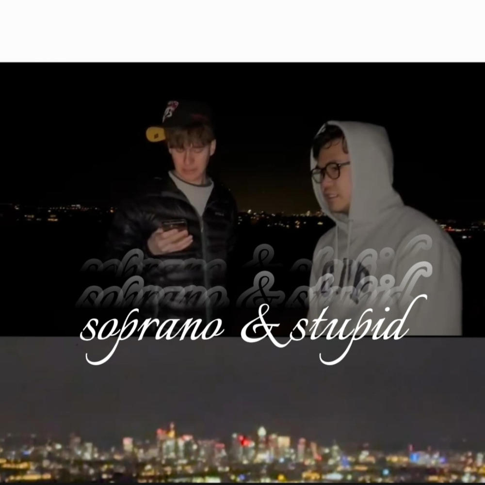 soprano & stupid (Explicit)