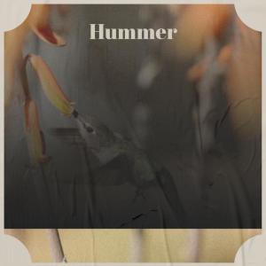 Album Hummer from Aury Zila