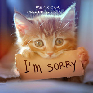 อัลบัม Kawaikutegomen (feat. HoneyWorks & capi) [Chloe UK Garage Remix] ศิลปิน Chloé