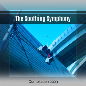 Various Artists的專輯The Soothing Symphony