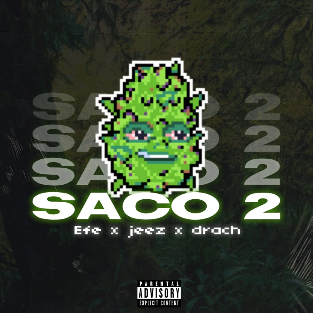 Saco 2