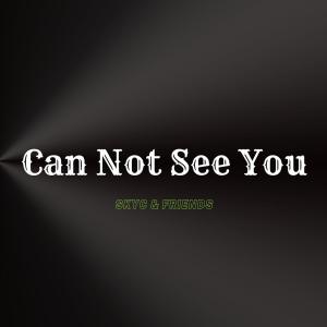 ดาวน์โหลดและฟังเพลง Can Not See You (feat. Kyllian, Trung Duong & Tekans) (Explicit) พร้อมเนื้อเพลงจาก SKYC