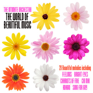 Album The World Of Beautiful Music (Original) from The Intimate Orchestra