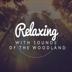 Bruits naturels的專輯Relaxing with Sounds of the Woodland