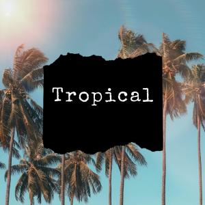 Album Tropical from Schiller