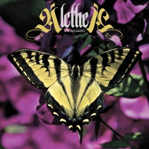 ดาวน์โหลดและฟังเพลง Ser Julgado พร้อมเนื้อเพลงจาก Alethea