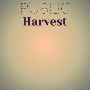 Various Artists的專輯Public Harvest