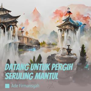 Listen to Datang Untuk Pergih Seruling Mantul song with lyrics from Ade Firmansyah