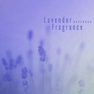 Dengarkan 지켜 줄게 I'll Protect You lagu dari Havenoun dengan lirik
