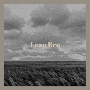 Various Artists的專輯Leap Bro