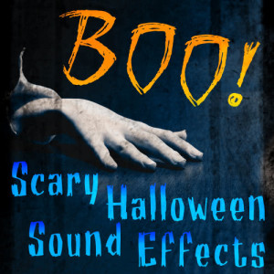 Thriller Killers的專輯Boo! Scary Halloween Sound Effects