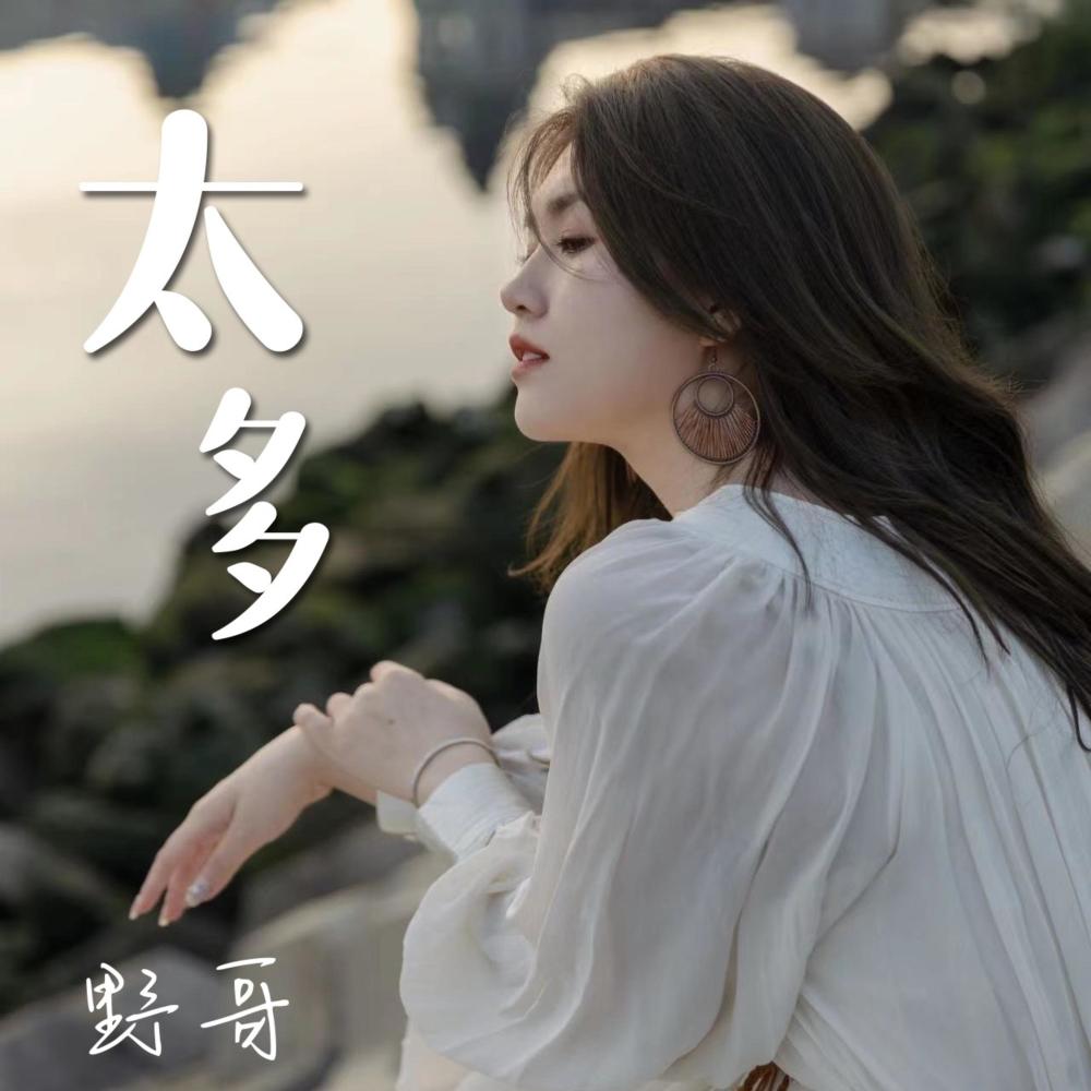 太多 (伴奏)
