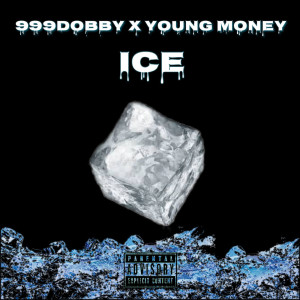 Album ICE from Young Money