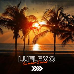 Listen to Summer Sound song with lyrics from LuFlexo