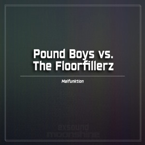 Listen to Malfunktion (Dub) song with lyrics from Pound Boys