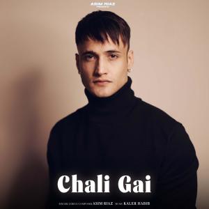 Listen to Chali Gai song with lyrics from Asim Riaz