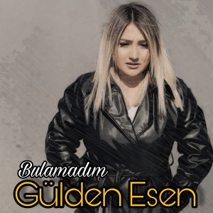 Album Bulamadım from 