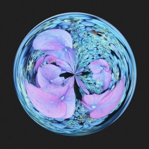 收聽Gold Fields的Cocoon (Maya Jane Coles Remix)歌詞歌曲
