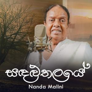 Album Sandaluthalaye from Nanda Malini