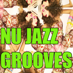 Various Artists的專輯Nu Jazz Grooves