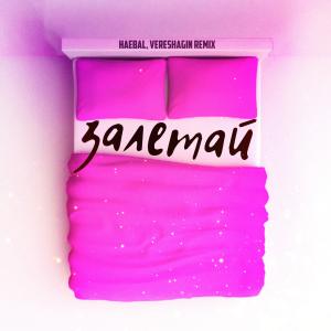 Album Залетай (Vereshagin Remix) from HAEBAL