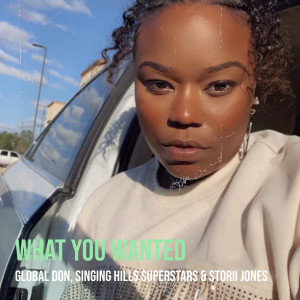 Listen to What You Wanted song with lyrics from Global Don