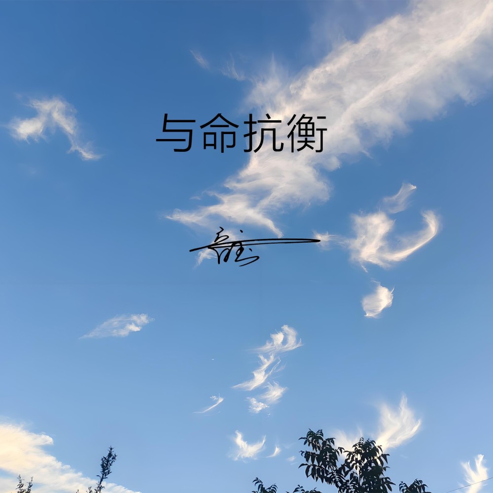 与命抗衡（DJ阿能版） (伴奏)